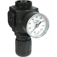 Series 1 Compact Regulator, 1/2" NPT, 150 PSI Max. PSI, Standard WestPier