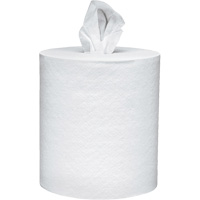 Scott<sup>®</sup> Essential Paper Towels, 2 Ply, Centre Pull, 625' L NJI990 | WestPier