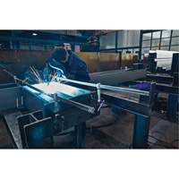 Double Force All-Steel Variable Clamp WestPier