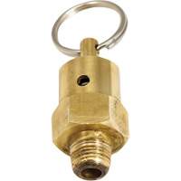 Viton&reg; Pressure Relief Valve WestPier