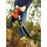 High Performance Leaf Blower/Vacuum/Mulcher, 250 MPH Output, Electric WestPier