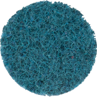 Scotch-Brite Roloc Surface Conditioning Disc, 1" Dia. WestPier