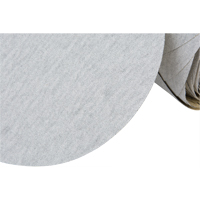 426U Stikit Paper Disc Roll, 6" Dia., 100 Grit, Silicon Carbide WestPier