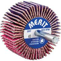 Shank Mounted Mini Flap Wheel, Ceramic Alumina, 40 Grit, 2" x 1" x 1/4" WestPier