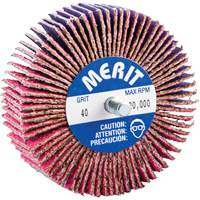 Threaded Mini Flap Wheel, Ceramic Alumina, 40 Grit, 3" x 1" x 1/4"-20 WestPier