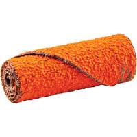 Cartridge Roll, 60 Grit, 1/2" Dia., Ceramic Alumina, 1-1/2" L, 1/8" Arbor WestPier