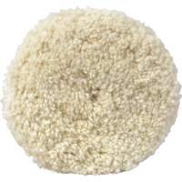 Tampon pour mastic de 05703, 8" dia., Laine WestPier