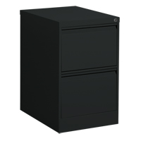 Vertical Filing Cabinet, Steel, 2 Drawers, 18-1/7" W x 25" D x 29" H, Black OP913 | WestPier