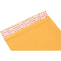 Enveloppes postales coussinées, Kraft, 5" la x 10" lo PG239 | WestPier