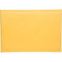 Enveloppes postales coussinées, Kraft, 10-1/2" la x 16" lo PG245 | WestPier