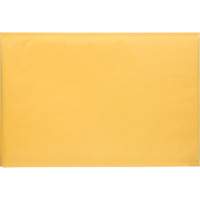 Enveloppes postales coussinées, Kraft, 12-1/2" la x 19" lo PG246 | WestPier