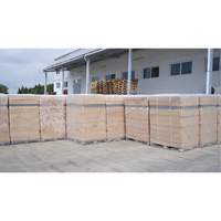 Gaylord Liners WestPier