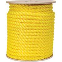 Corde jaune tress&eacute;e, Polypropyl&egrave;ne, 300' WestPier