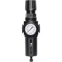 Filtre/r&eacute;gulateur drain manuel avec bol standard Modulair 300, 1/4" NPT, 150 psi, Capacit&eacute; de 5,1 oz liq. WestPier