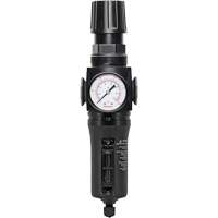 Filtre/r&eacute;gulateur drain manuel avec bol en m&eacute;tal Modulair 300, 1/4" NPT, 250 PSI, Capacit&eacute; de 5,1 oz liq. WestPier