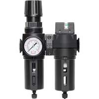Filtre/r&eacute;gulateur + filtre coalescent drain manuel avec bol standard Modulair 300, 1/4" NPT, 150 psi, Capacit&eacute; de 5,1 oz liq. WestPier