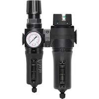 Filtre/r&eacute;gulateur + filtre coalescent drain manuel avec bol en m&eacute;tal Modulair 300, 1/4" NPT, 250 PSI, Capacit&eacute; de 5,1 oz liq. WestPier