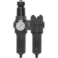 Filtre/r&eacute;gulateur + filtre coalescent drain manuel avec bol en m&eacute;tal Modulair 400, 1/4" NPT, 200 psi, Capacit&eacute; de 9,1 oz liq. WestPier