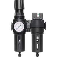 Filtre/d&eacute;tendeur & filtre coalescent Modulair 300 avec bol standard & drain manuel, 3/8" NPTF, 150 psi, Capacit&eacute; de 5,12 oz liq WestPier