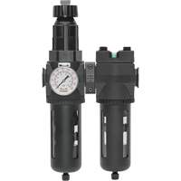 Filtre/d&eacute;tendeur & filtre coalescent Modulair 400 avec bol standard & drain manuel, 3/4" NPTF, 150 psi, Capacit&eacute; de 9,13 oz liq. WestPier