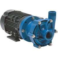 Magnetic Drive Pump with Carbon Bushing WestPier