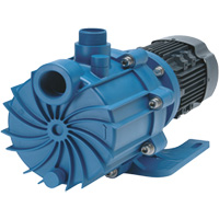 Self-Priming Magnetic Drive Pump with Carbon Bushing WestPier