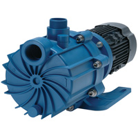 Self-Priming Magnetic Drive Pump with Carbon Bushing WestPier