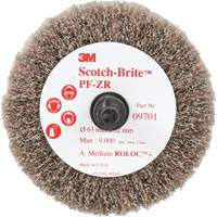 Brosse &agrave; lamelles pour labrasion et le polissage PF-ZR Roloc Scotch-Brite, Oxyde d'aluminium, Grain Moyen, 2-1/2" x 1-1/4" WestPier