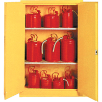 Insulated Flammable Liquid Safety Cabinets, 30 gal., 2 Door, 44" W x 45" H x 19" D SA087 | WestPier