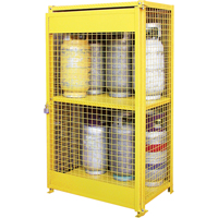 Gas Cylinder Cabinets, 12 Cylinder Capacity, 44" W x 30" D x 74" H, Yellow SAF847 | WestPier