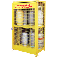 Gas Cylinder Cabinets, 12 Cylinder Capacity, 44" W x 30" D x 74" H, Yellow SAF847 | WestPier