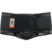 Proflex&reg; 1051 Mesh with Lumbar Pad, Mesh, Small WestPier