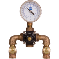 Thermostatic Mixing Valves, 7 GPM SAI289 | WestPier