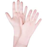 Disposable Gloves, Large, Vinyl, 4.5-mil, Powder-Free, Clear, Class 2 SGX029 | WestPier