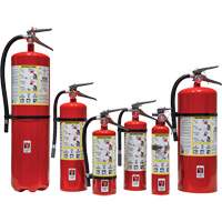 Fire Extinguisher, ABC, 30 lbs. Capacity SED110 | WestPier