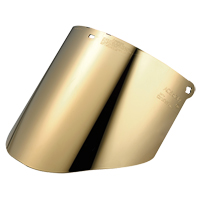 Visi&egrave;re Total Performance, Polycarbonate, Teinte Vert WestPier