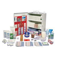 Workplace Deluxe First Aid Kits, Class 1 Medical Device, Metal Box WestPier