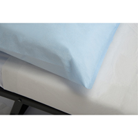 Disposable Examination Drape Sheets SAY620 | WestPier