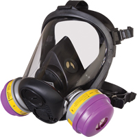North<sup>®</sup> RU6500 Series Full Facepiece Respirator, Silicone, Small SDN448 | WestPier