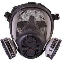Respirateur à masque complet de série RU6500 de North<sup>MD</sup>, Silicone, Petit SDN451 | WestPier