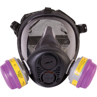 North<sup>®</sup> RU6500 Series Full Facepiece Respirator, Silicone, Medium SDN452 | WestPier