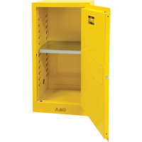 Flammable Storage Cabinet, 16 gal., 1 Door, 23" W x 44" H x 18" D SDN643 | WestPier