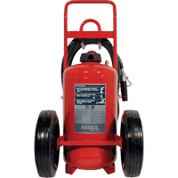 Red Line<sup>®</sup> Wheeled Fire Extinguishers, BC, 150 lbs. Capacity SDN839 | WestPier