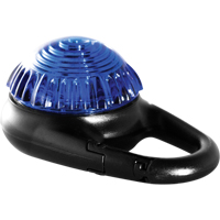 TAG-IT Guardian Warning Light, Continuous/Flashing, Blue SDS908 | WestPier