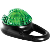 TAG-IT Guardian Warning Light, Continuous/Flashing, Green SDS909 | WestPier