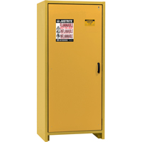 Armoire d'entreposage 30 minutes s&eacute;curitaire et conforme &agrave; la norme EN, 30 gal., 1 Porte(s), 34,02" La x 76,65" h x 24,21" p WestPier