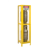 Gas Cylinder Cabinets, 2 Cylinder Capacity, 17" W x 17" D x 69" H, Yellow SEB838 | WestPier