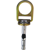 PRO™ Concrete D-ring Anchor with Bolt, Concrete/D-Ring, Permanent Use SEB928 | WestPier