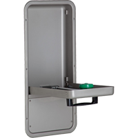 Eye/Face Wash Station, Wall-Mount Installation, Stainless Steel Bowl WestPier