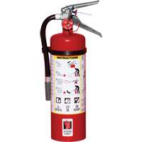 Fire Extinguisher, ABC, 5 lbs. Capacity SED109 | WestPier